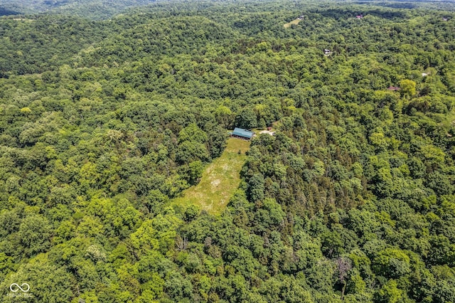 8701 E Splinter Ridge Rd, Madison, IN 47250 - drone / aerial view of a forest