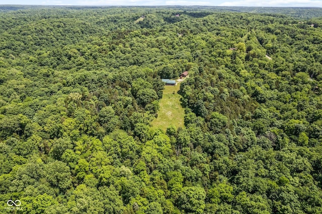 8701 E Splinter Ridge Rd, Madison, IN 47250 - drone / aerial view of a forest