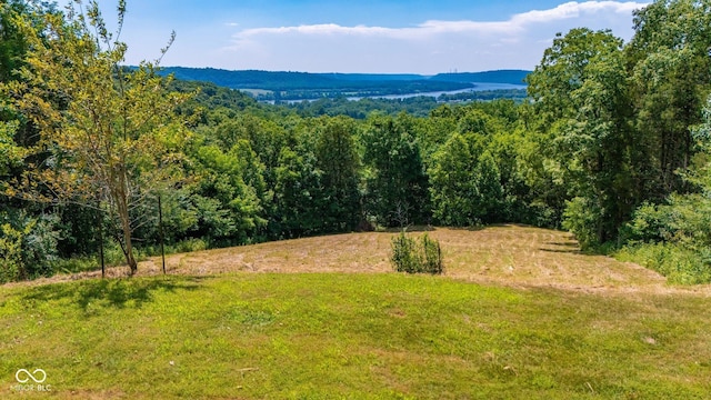 8701 E Splinter Ridge Rd, Madison, IN 47250 - view of mountain backdrop with a forest