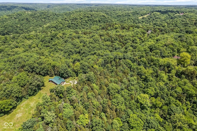 8701 E Splinter Ridge Rd, Madison, IN 47250 - bird's eye view of a forest