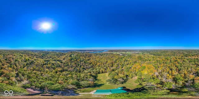8701 E Splinter Ridge Rd, Madison, IN 47250 - bird's eye view of a heavily wooded area