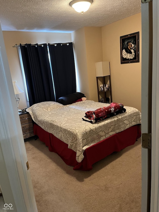 5931 Marina View Ln, Indianapolis, IN 46237 - bedroom with carpet floors and a textured ceiling