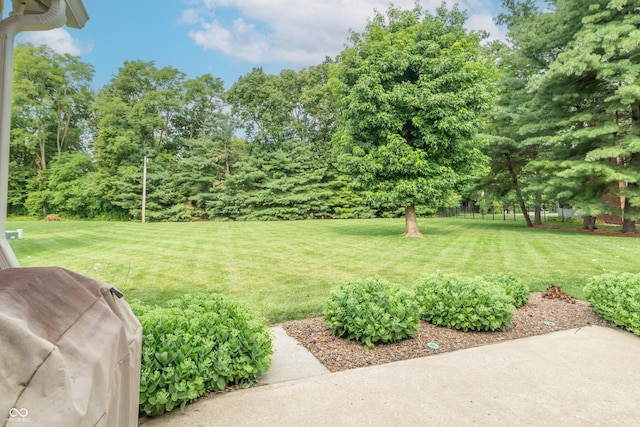 268 Sunrise Cir, Greenwood, IN 46142 - photo 38