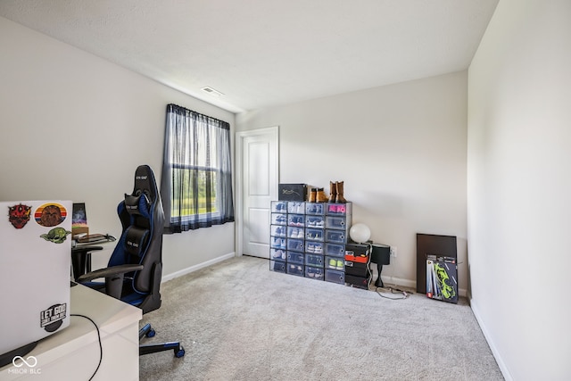 197 N Fairfield Dr, Danville, IN 46122 - office area featuring carpet floors