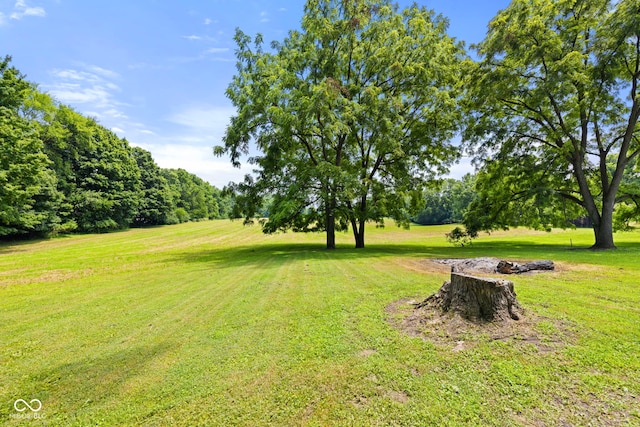 631 S State Road 39, Danville, IN 46122 - view of green lawn
