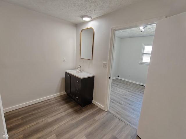 316 E Mechanic St, Shelbyville, IN 46176 - bathroom featuring vanity, wood finished floors, and a textured ceiling