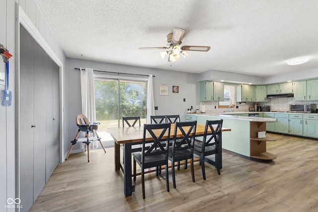 10816 N US Highway 231, Cloverdale, IN 46120 - dining room with a textured ceiling, ceiling fan, and light wood-type flooring