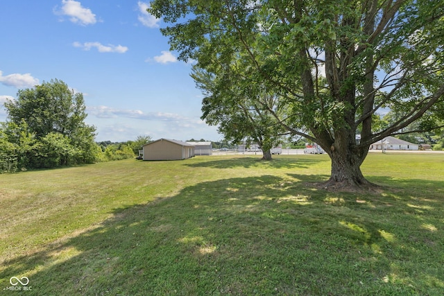 10816 N US Highway 231, Cloverdale, IN 46120 - view of yard