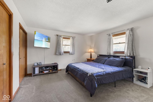 10816 N US Highway 231, Cloverdale, IN 46120 - bedroom featuring carpet flooring, multiple windows, and a textured ceiling