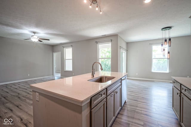 2541 Riviera Pl, Greenwood, IN 46143 - kitchen with wood finished floors, open floor plan, dishwasher, plenty of natural light, and a textured ceiling