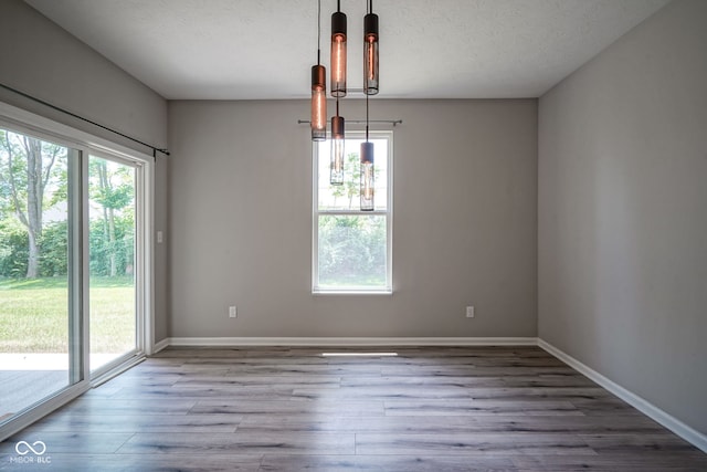 2541 Riviera Pl, Greenwood, IN 46143 - spare room featuring plenty of natural light, wood finished floors, and a textured ceiling