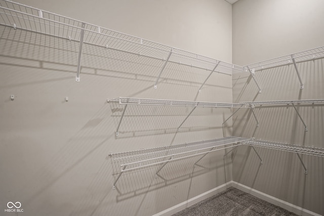 2541 Riviera Pl, Greenwood, IN 46143 - walk in closet featuring dark colored carpet