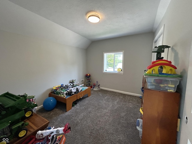 315 W N St, Crawfordsville, IN 47933 - playroom featuring lofted ceiling, carpet floors, and a textured ceiling