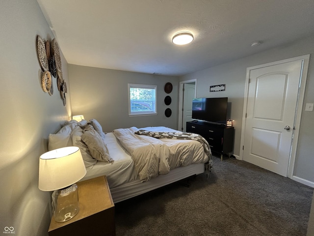 315 W N St, Crawfordsville, IN 47933 - bedroom featuring dark carpet and baseboards