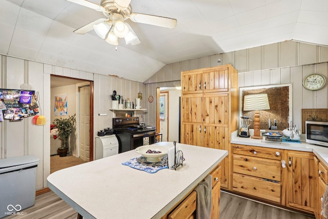 209 Bishop St, Mooresville, IN 46158 - kitchen with electric range, stainless steel microwave, light wood-style floors, vaulted ceiling, and light countertops