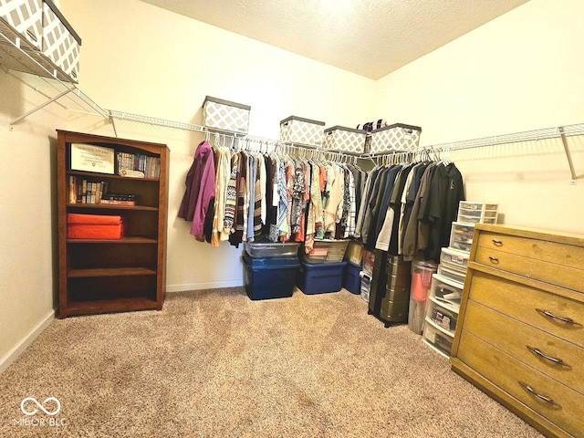 7626 Merrick Dr, Brownsburg, IN 46112 - walk in closet featuring carpet