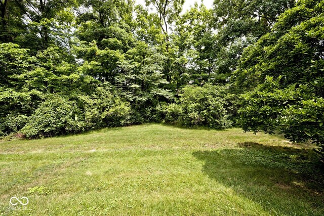 5254 Hawks Point Rd, Indianapolis, IN 46226 - photo 19