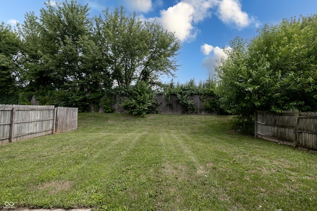 3307 Blue Ash, Indianapolis, IN 46239 - view of fenced backyard