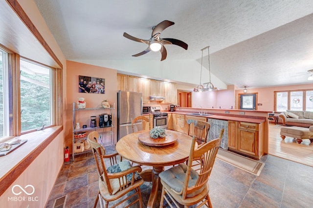 8910 Richarts Rd, Morgantown, IN 46160 - dining area featuring a ceiling fan, plenty of natural light, and vaulted ceiling