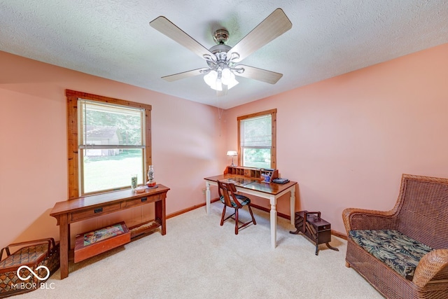 8910 Richarts Rd, Morgantown, IN 46160 - carpeted office with plenty of natural light and a ceiling fan