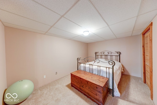 8910 Richarts Rd, Morgantown, IN 46160 - bedroom with carpet floors and a drop ceiling