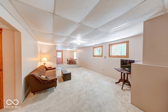 8910 Richarts Rd, Morgantown, IN 46160 - sitting room with carpet and a paneled ceiling