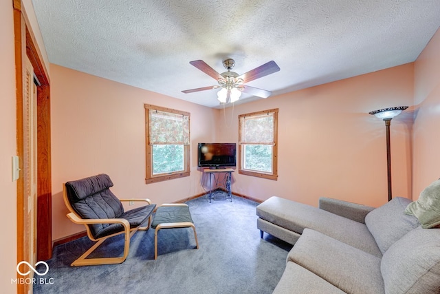 8910 Richarts Rd, Morgantown, IN 46160 - living room featuring carpet flooring, ceiling fan, and a textured ceiling
