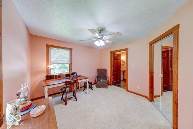 8910 Richarts Rd, Morgantown, IN 46160 - home office with a ceiling fan, carpet floors, and a textured ceiling