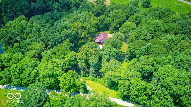 8910 Richarts Rd, Morgantown, IN 46160 - aerial view of property's location with a forest