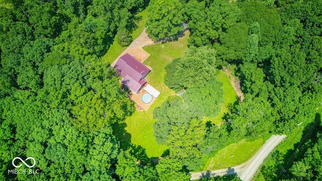 8910 Richarts Rd, Morgantown, IN 46160 - bird's eye view