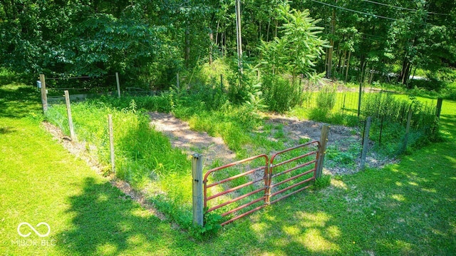 8910 Richarts Rd, Morgantown, IN 46160 - view of yard