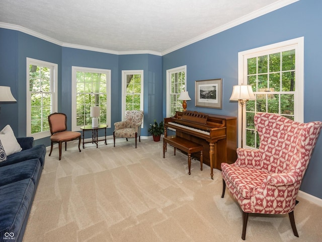 8708 Highwood Ln, Indianapolis, IN 46278 - sitting room with carpet and crown molding
