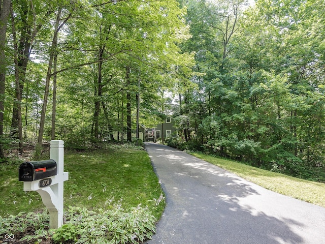 8708 Highwood Ln, Indianapolis, IN 46278 - view of asphalt driveway with a wooded view