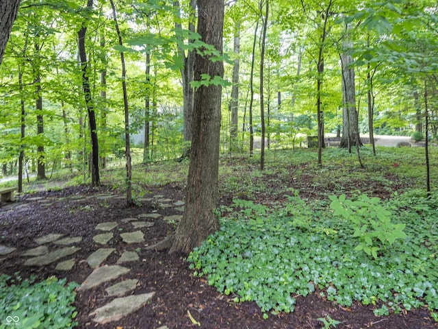8708 Highwood Ln, Indianapolis, IN 46278 - view of local wilderness