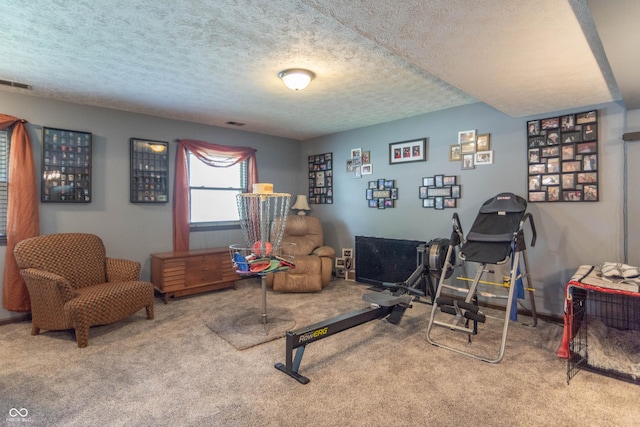 5237 Honey Comb Ln, Indianapolis, IN 46221 - workout room with carpet and a textured ceiling