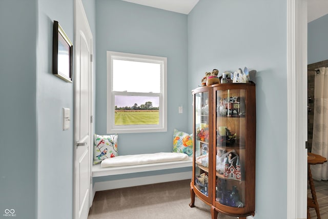 5238 N 225 E, Whiteland, IN 46184 - living area featuring carpet floors and baseboards