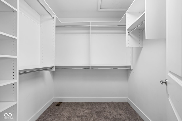 1935 Cornell Ave, Indianapolis, IN 46202 - spacious closet with carpet flooring