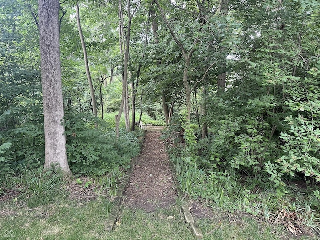 9975 Woodstock Way, Fishers, IN 46037 - view of wooded area