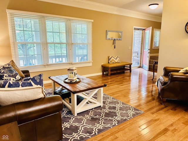 9975 Woodstock Way, Fishers, IN 46037 - living area featuring ornamental molding and hardwood / wood-style flooring