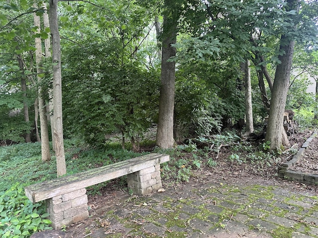 9975 Woodstock Way, Fishers, IN 46037 - view of yard