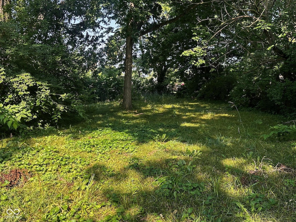 562 N Tremont St, Indianapolis, IN 46222 - photo 4