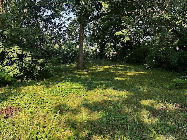 562 N Tremont St, Indianapolis, IN 46222 - photo 4
