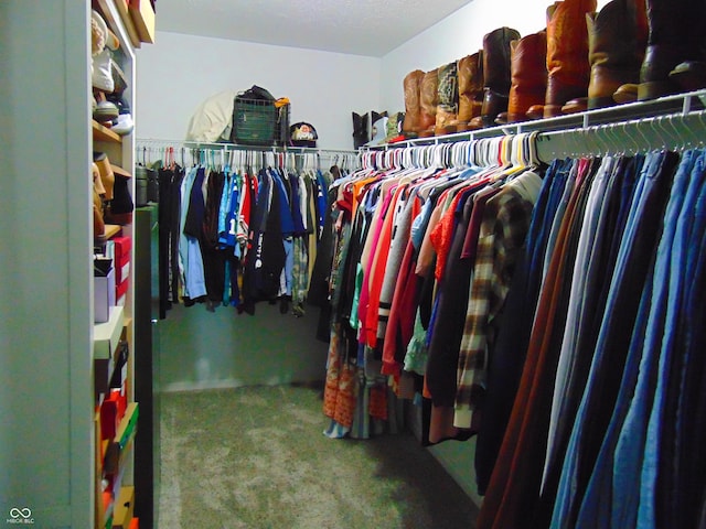 2703 Night Hawk Rd, Greenwood, IN 46143 - spacious closet featuring carpet flooring