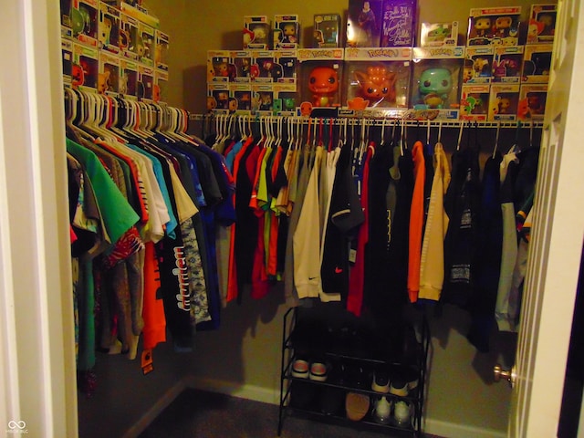 2703 Night Hawk Rd, Greenwood, IN 46143 - view of walk in closet
