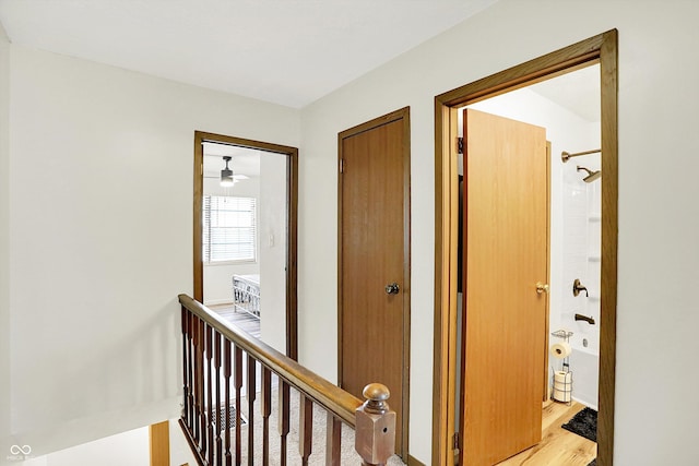 594 E Graham Pl, Bloomington, IN 47401 - photo 16