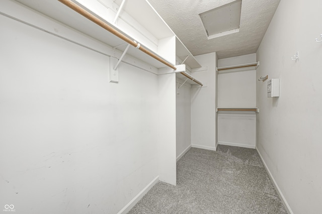 1143 Kinross Dr, Avon, IN 46123 - walk in closet featuring attic access and carpet flooring