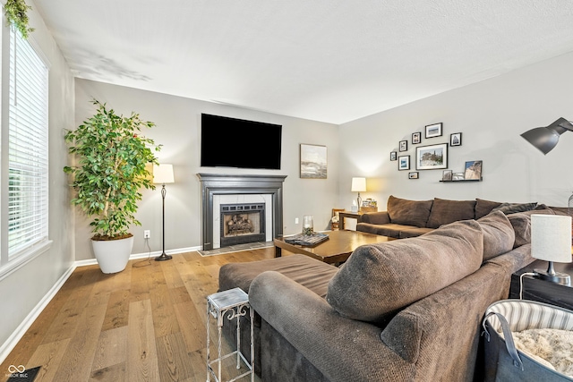 8612 Weaver Woods Pl, Fishers, IN 46038 - living area featuring a fireplace with flush hearth, wood finished floors, and healthy amount of natural light