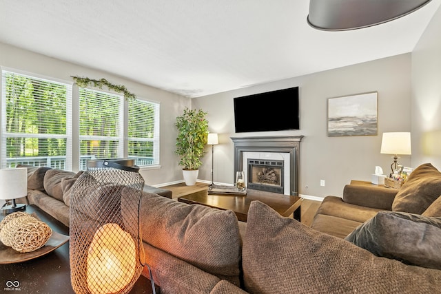 8612 Weaver Woods Pl, Fishers, IN 46038 - living room with wood finished floors and a fireplace