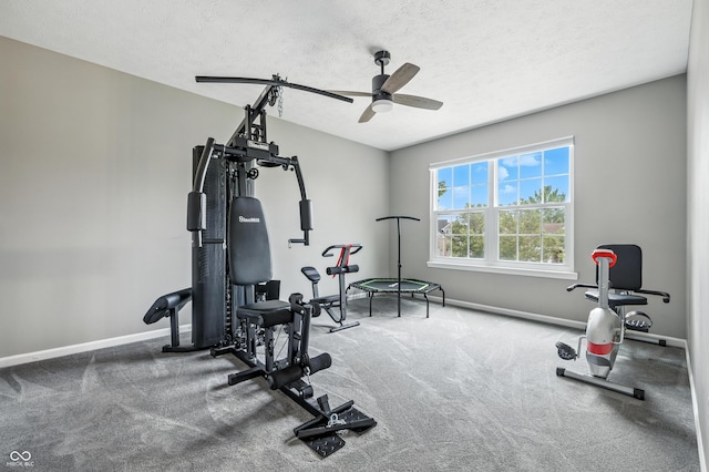 8612 Weaver Woods Pl, Fishers, IN 46038 - exercise area with a ceiling fan, a textured ceiling, and carpet flooring
