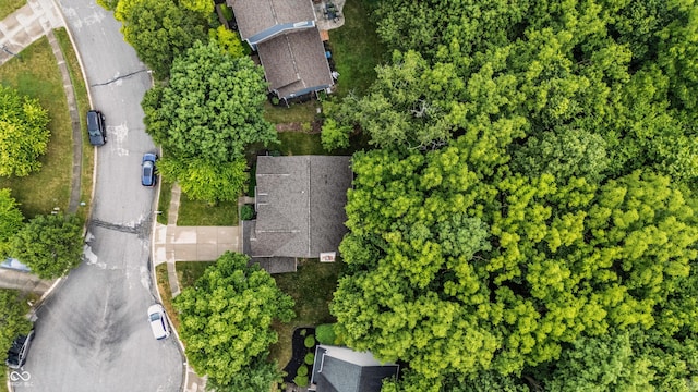 8612 Weaver Woods Pl, Fishers, IN 46038 - bird's eye view